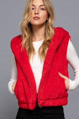 $25 Doorbuster Deal - Faux Fur Vests - 2 Colors! - FINAL SALE