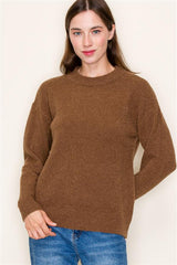 Brown Basic Crew Neck Sweater