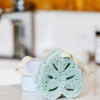 Super Sudsy Soap Sponge - 3 Scents!